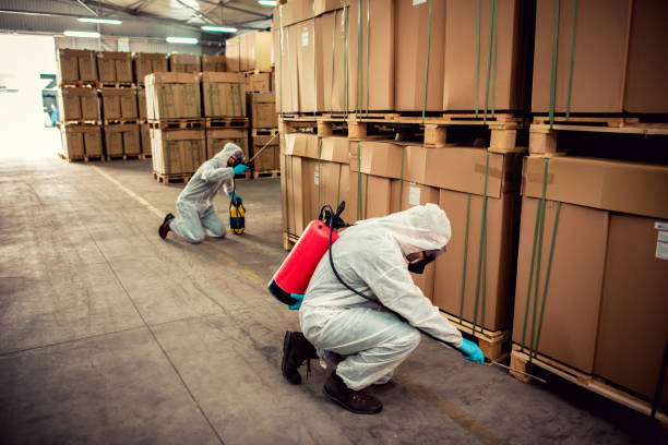 Best Rat Extermination Near Me  in Schofield, WI