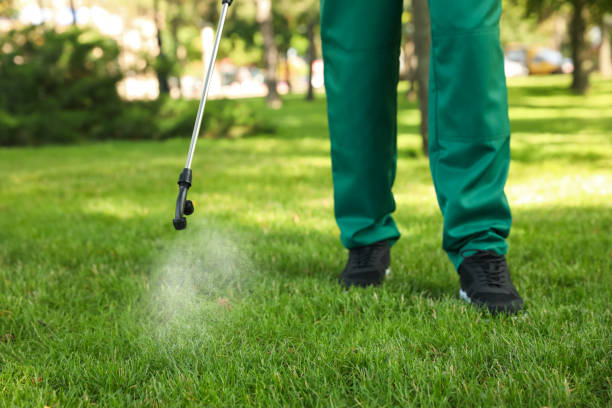 Best Best Pest Control Companies  in Schofield, WI