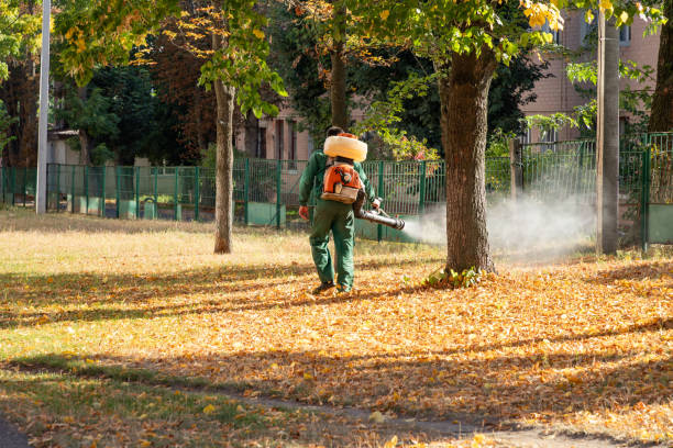 Best Mosquito Control Services  in Schofield, WI