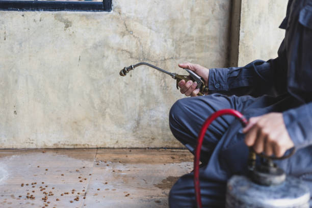 Best Affordable Pest Control Services  in Schofield, WI